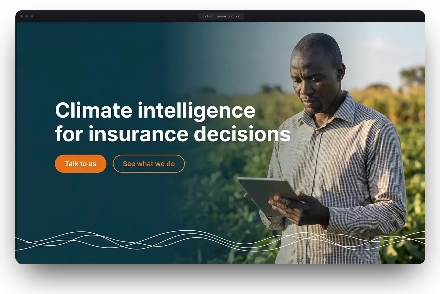 Dalili Advisors website